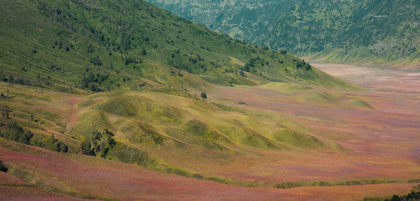 Scenic view of landscape