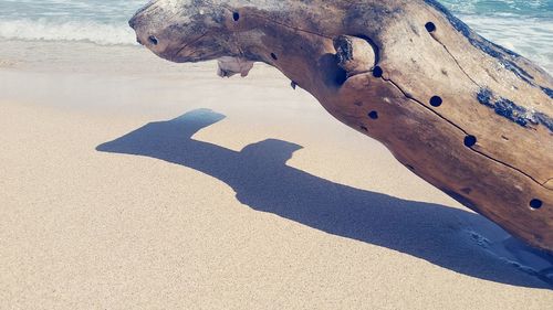 Shadow of man on ground