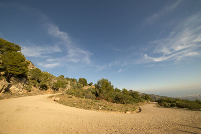 Scenic view of road amidst trees against sky