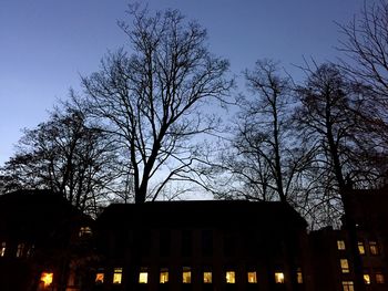 Low angle view of bare trees against sky