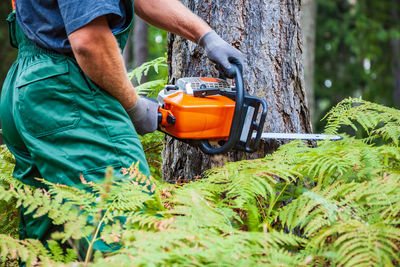 Midsection of man cutting tree