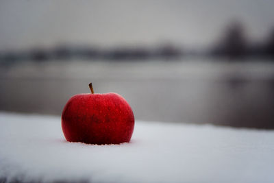 Close-up of apple on snow