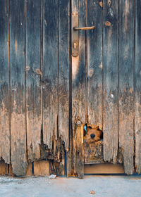 Close-up of old wooden door