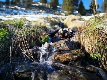 Close-up of water flowing through rocks