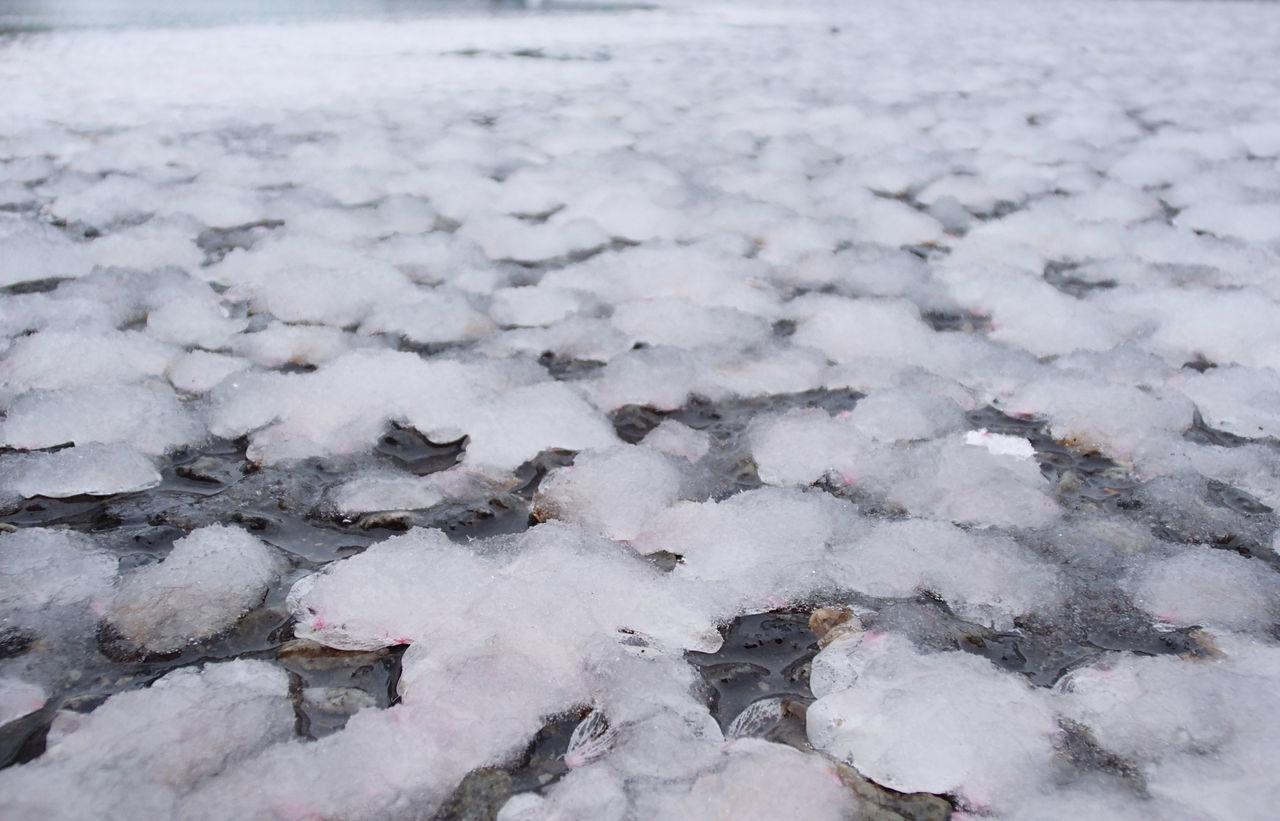 FULL FRAME SHOT OF FROZEN WATER ON LAND