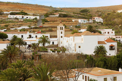 Cactus garden in the small town of betancuria, fuerteventura, canary islands