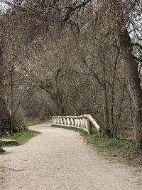 Bridge on pathway in woods