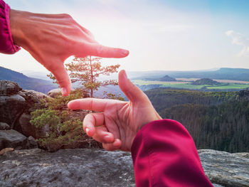 Female hands make frame gesture round pine tree on rocky edge. blue valley bellow rocky peak