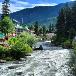 Scenic view of river amidst trees against sky