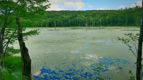 Scenic view of lake against sky