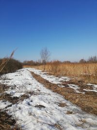 Scenic view of field against clear blue sky