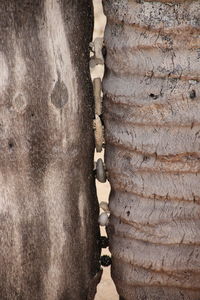 Full frame shot of weathered wall