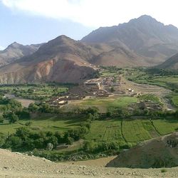 Scenic view of agricultural landscape