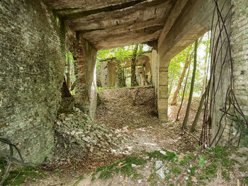 Interior of old ruin