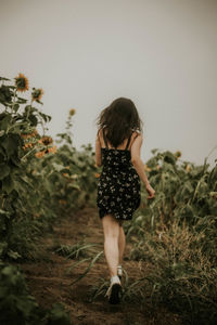 Rear view of young woman running at sunflower farm