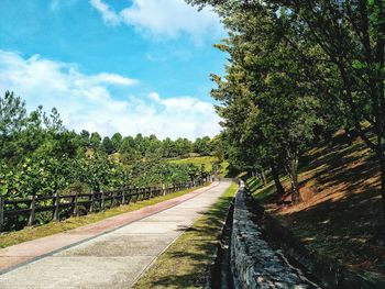 Empty road along plants and trees against sky