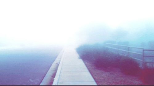 View of trees in foggy weather