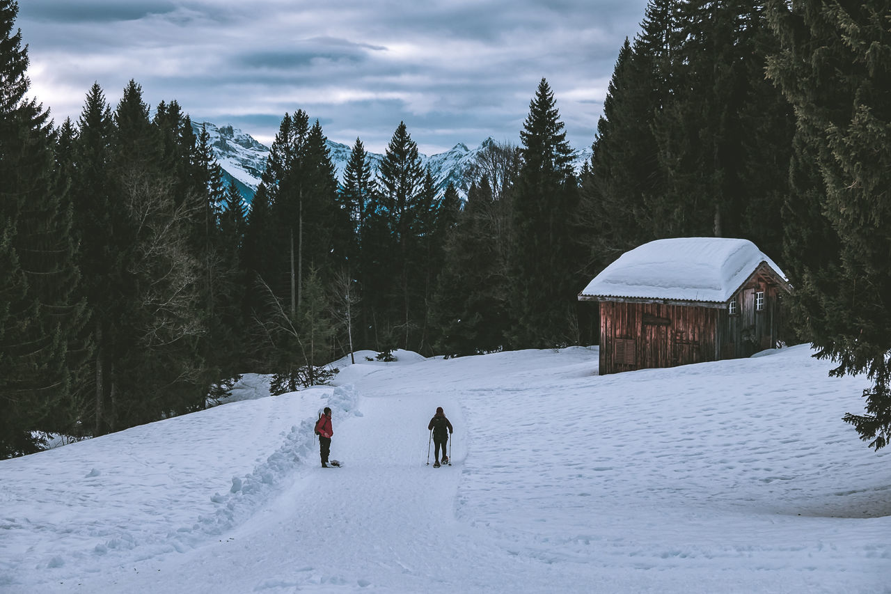 PEOPLE ON SNOW COVERED LANDSCAPE