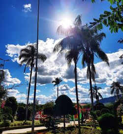 Low angle view of coconut palm trees against sky on sunny day