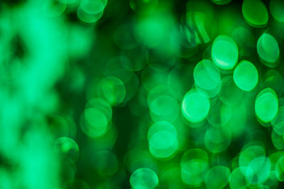 Defocused image of illuminated lights