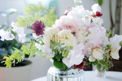 Close-up of white flowers in vase