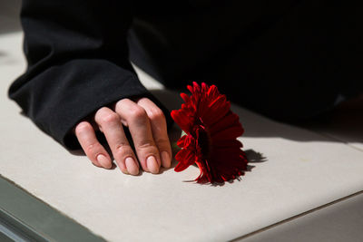 Midsection of woman holding autumn leaves