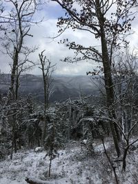 Scenic view of snowcapped forest against sky during winter