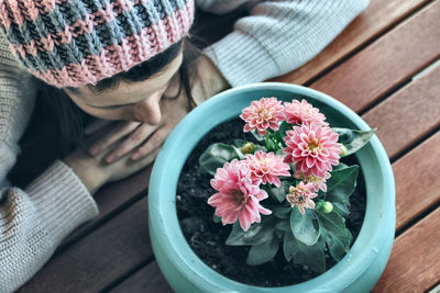 High angle view of woman holding pink flower on table