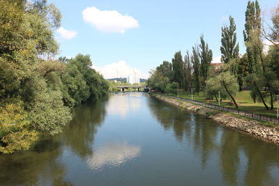 Reflection of trees in river