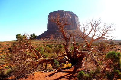 View of rock formation in desert