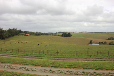 Hay bales on field against sky