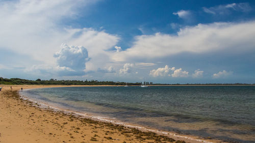 The beaches and coast line of phillip island