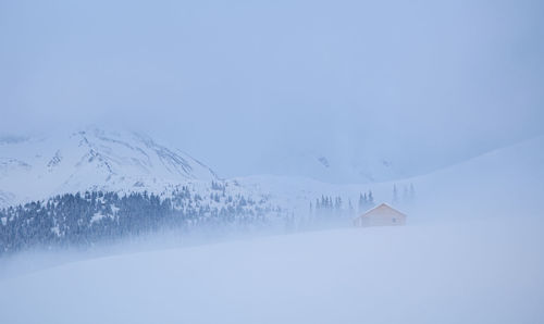 Winter landscape from rodnei mountain. a cold foggy morning with heavy snow.