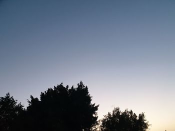 Low angle view of silhouette trees against clear sky