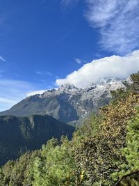 nature