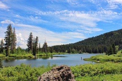 Scenic view of river by trees against sky