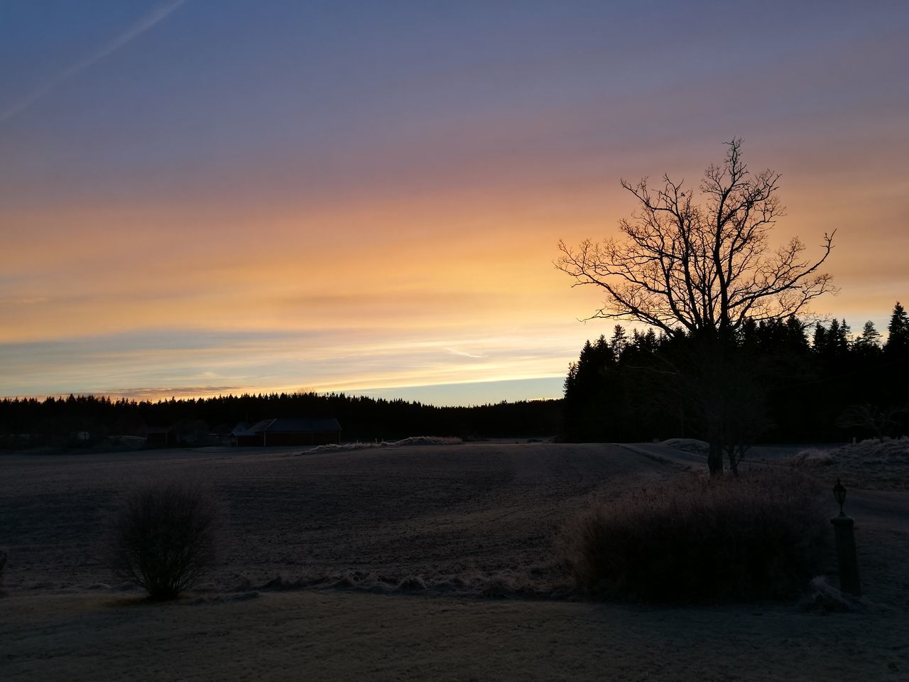 sunset, tree, nature, beauty in nature, no people, scenics, outdoors, sky, tranquil scene, landscape, day