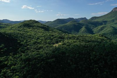 Scenic view of landscape against sky, forest, trees