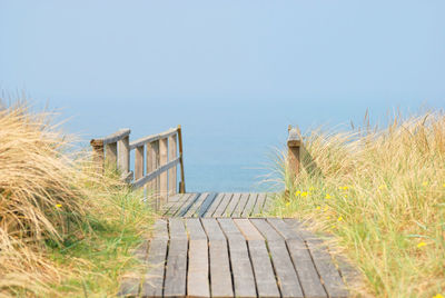 Boardwalk amidst plants on beach against clear sky