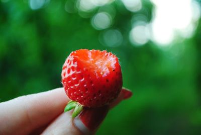 Close-up of hand holding strawberry