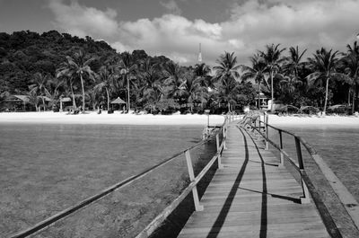 Scenic view of palm trees against sky