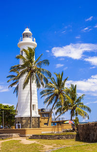 Palm trees by building against blue sky