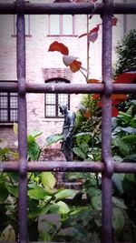 View of birds perching on railing