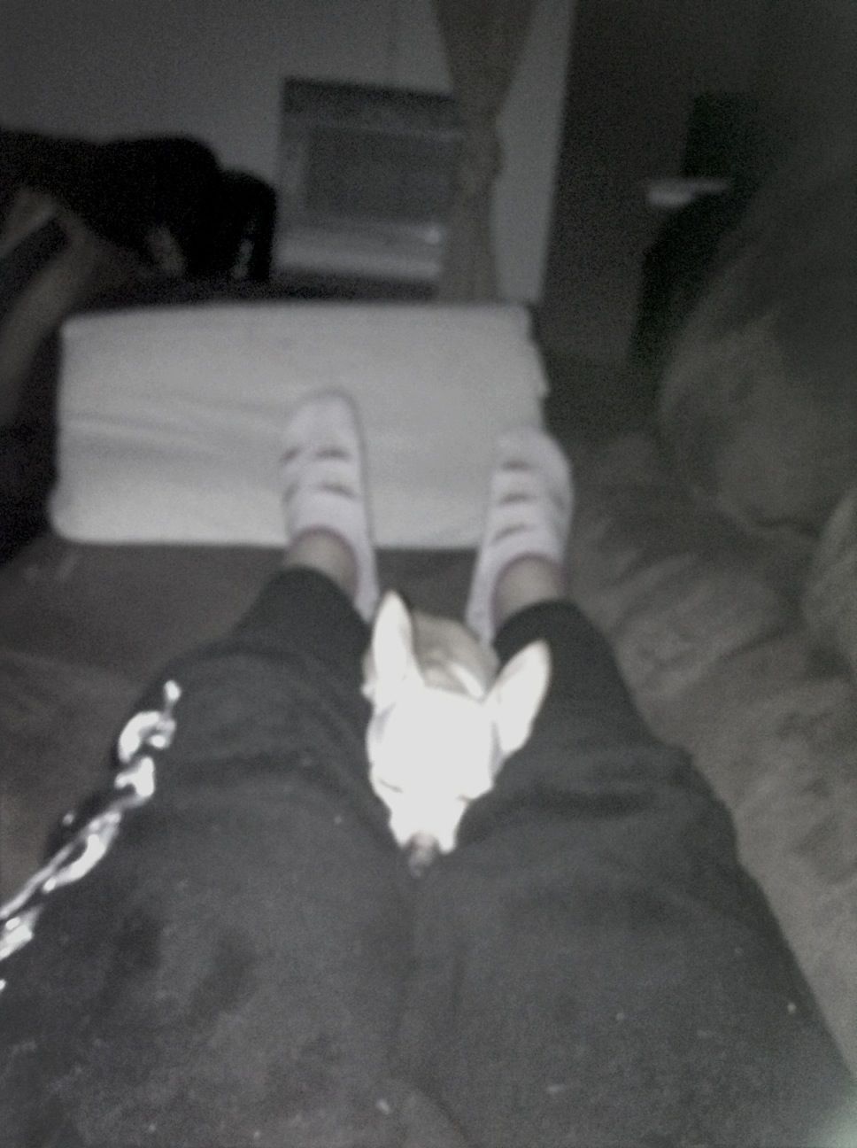 My Dog And My Feet <3