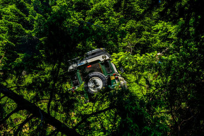 Low angle view of vintage car on forest