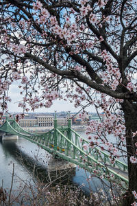 Bridge over river