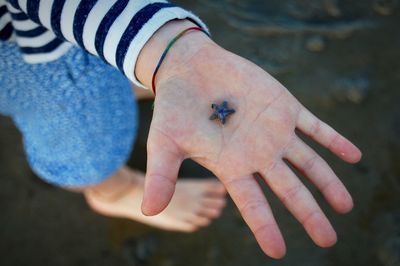 Close-up of hand holding insect