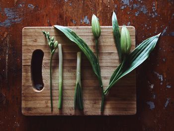 Directly above view of vegetables on cutting board