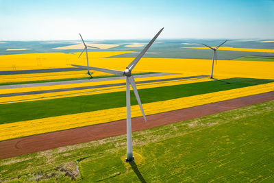 Aerial view of wind turbines farm on agricultural field in summer