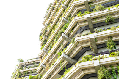 From below creative design of multistory house facade with green plants on balconies in town